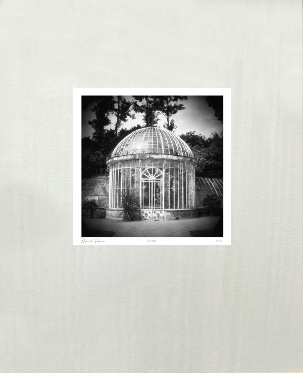 LA SERRE - Jardin des Ravalet - Tourlaville - Manche - France - 1993 - Hasselblad 6x6 argentique Photographie N° ATMOBOT 01