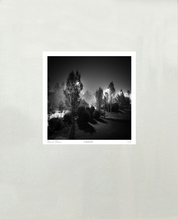 LE BOULEVARD - Tourlaville - Manche - France - 1995 - Hasselblad 6x6 argentique Photographie N° PT 00