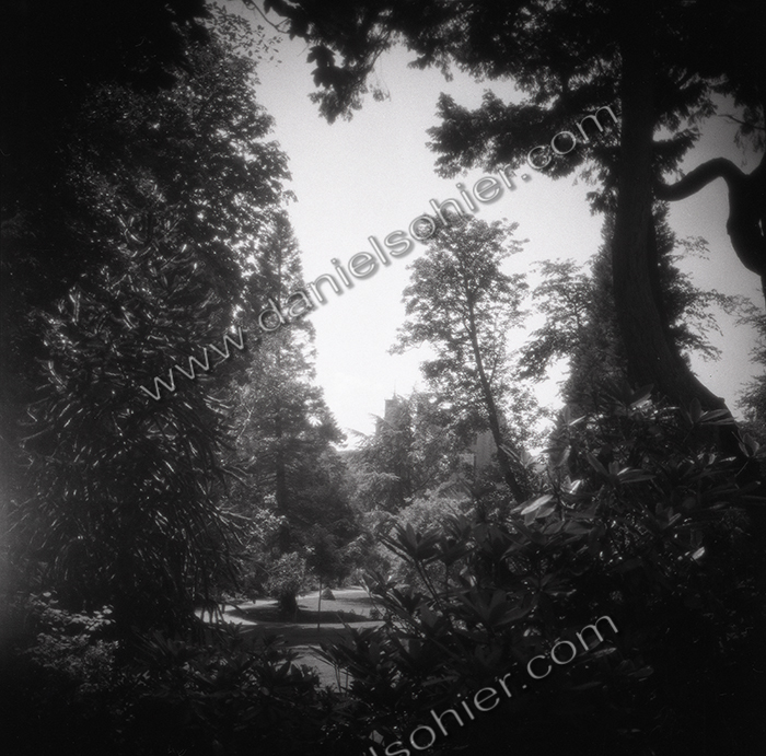 RÊVERIE 1 - Jardin des Ravalet - Cherbourg en Cotentin - Manche - France 1993 - Hasselblad 6x6 argentique Photographie N° ATMOBOT 05