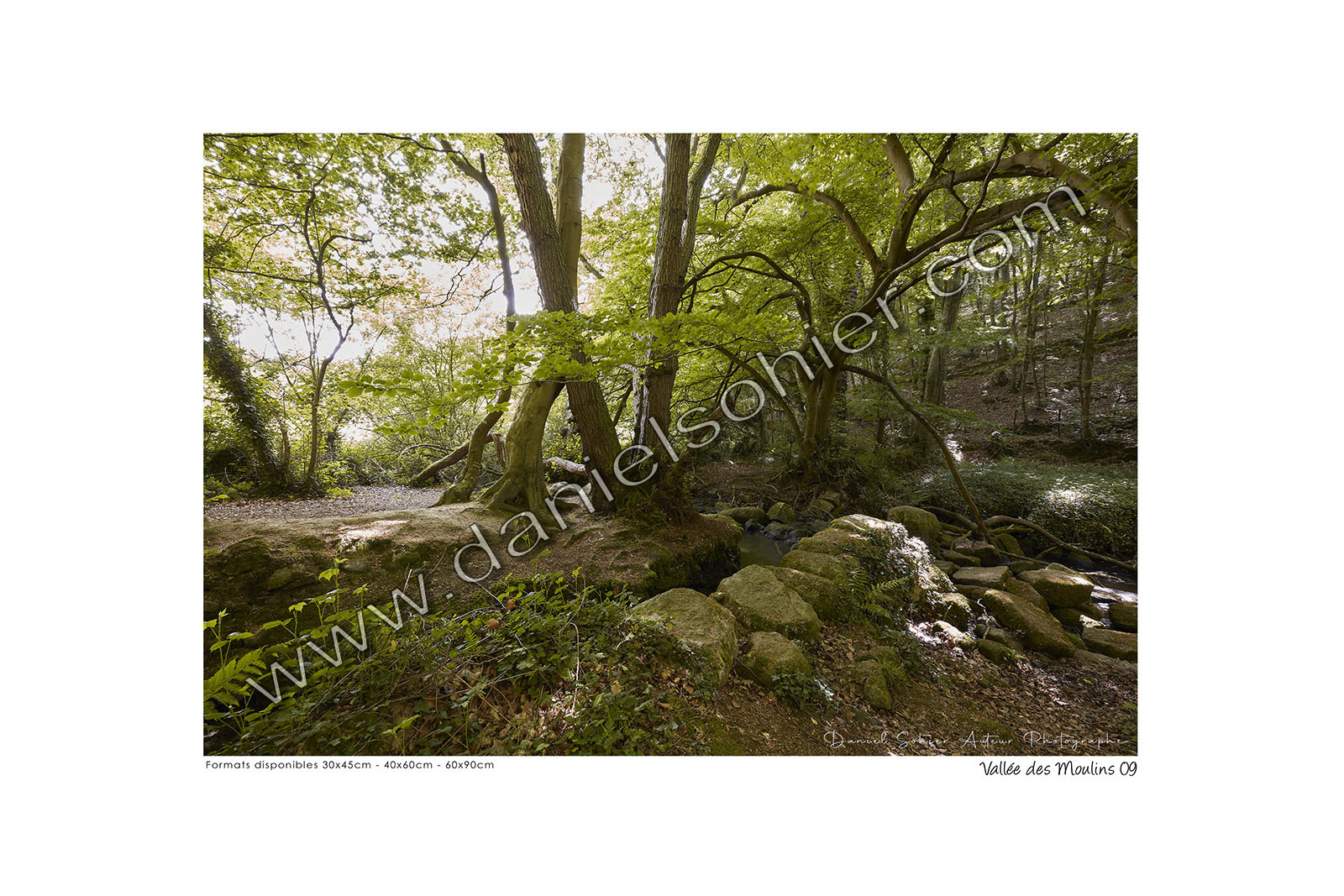 Photoggraphies de paysage