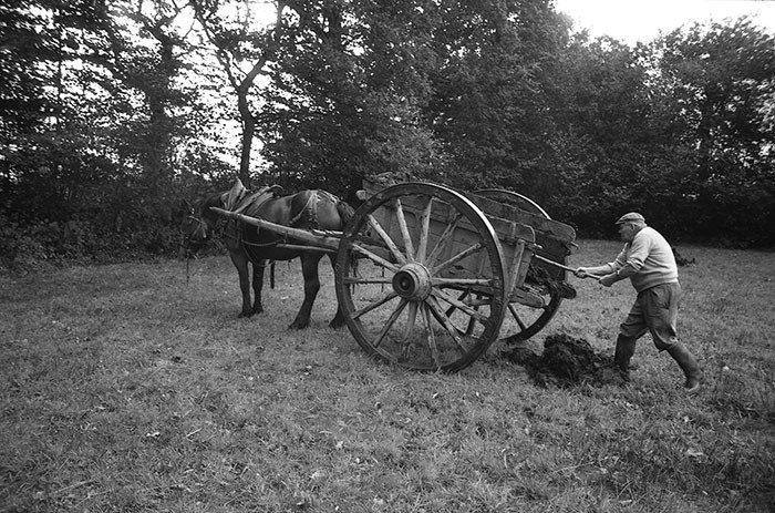 Le fumier dans l'Baniau
