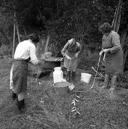 La journée du Cochon
