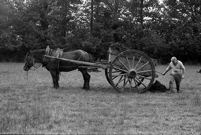 Le fumier dans l'Baniau