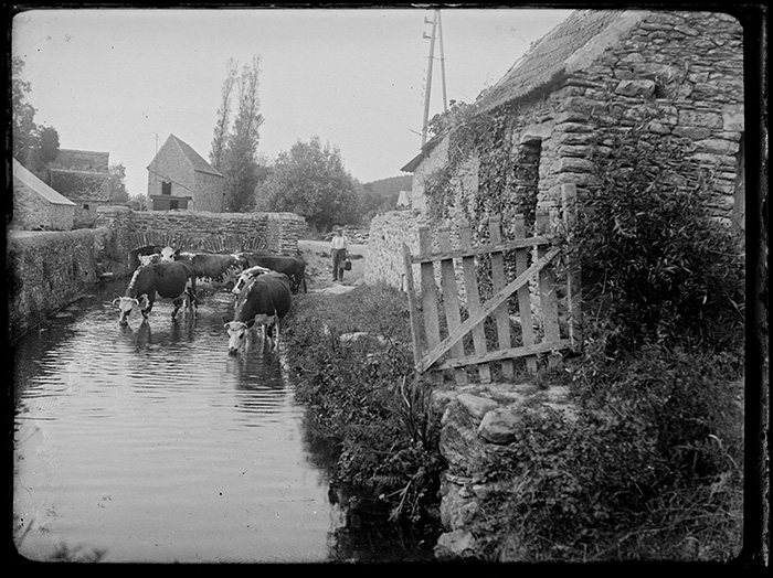 Photographie Gustave Bazire (1893-1941)