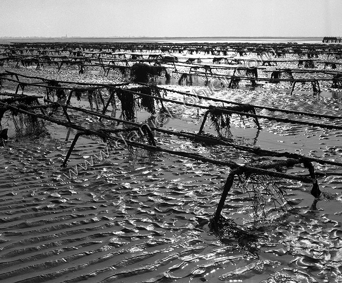 Création Noir&Blanc