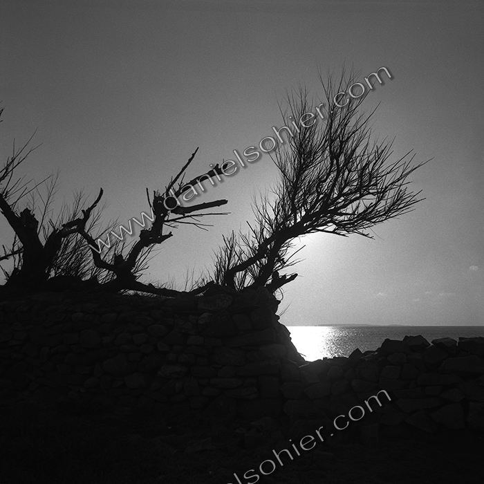 Création Noir&Blanc