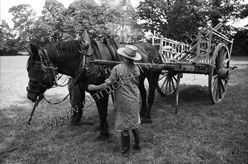 Reportage sur les foins