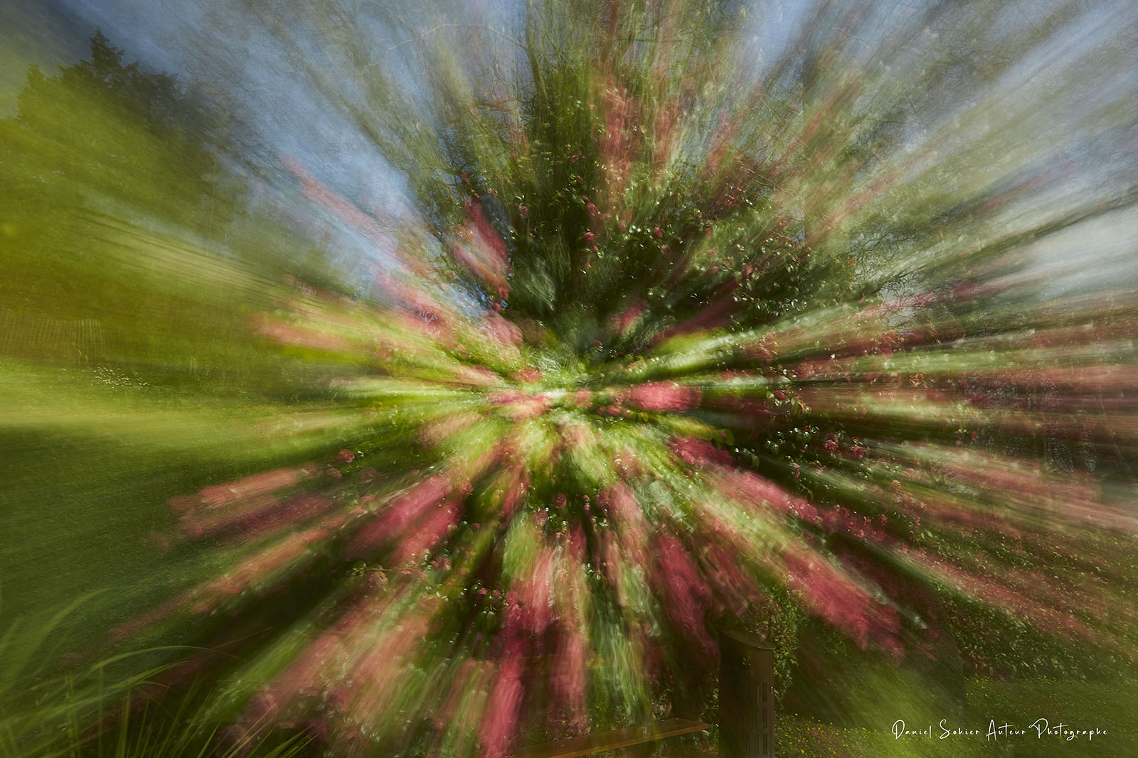 ICM Nature