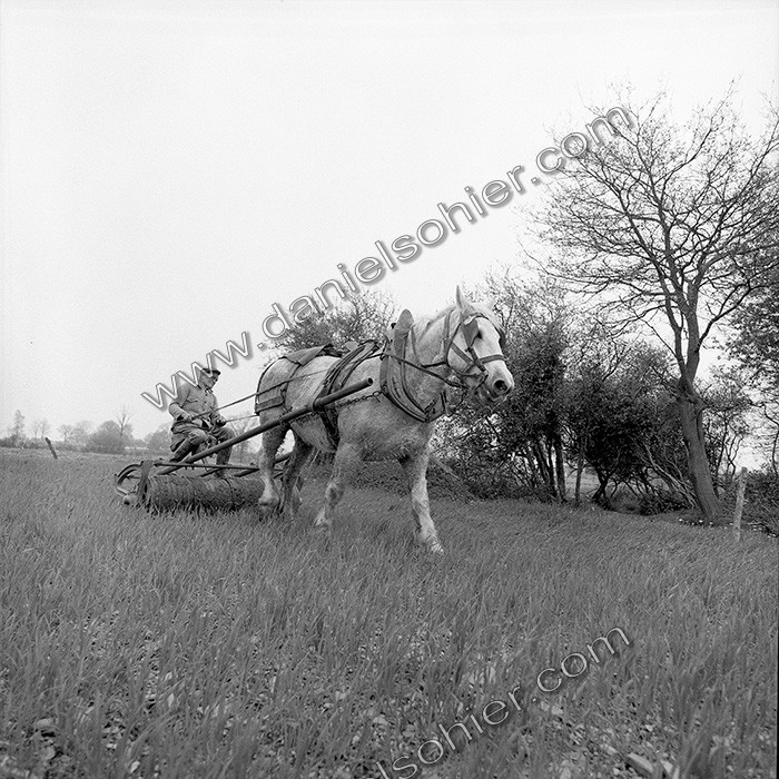 Le travail des champs