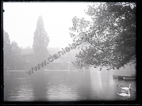Plaques de verre 1910