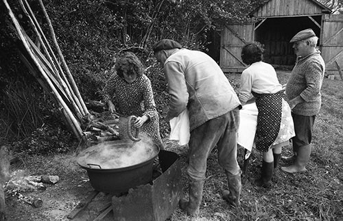 La journée du Cochon
