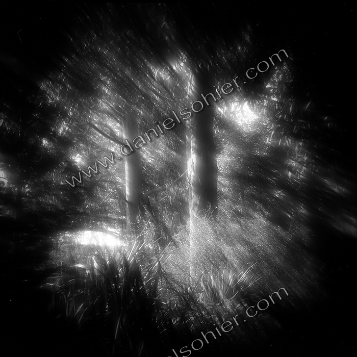 RÊVERIE 2 - Jardin des Ravalet - Cherbourg en Cotentin - Manche - France 1993 - Hasselblad 6x6 argentique Photographie N° ATMOBOT 07