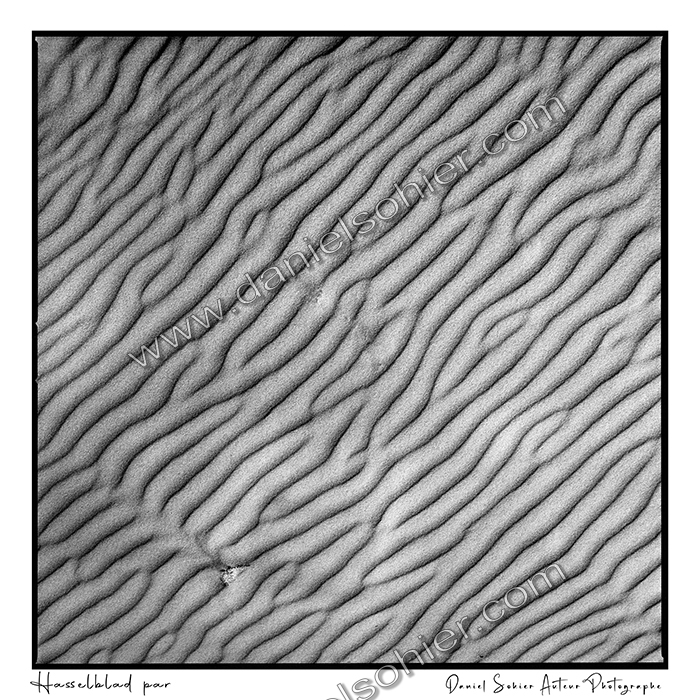 Création photographique noir et blanc argentique