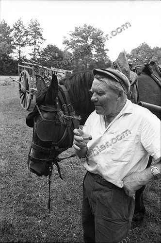 Reportage sur les foins