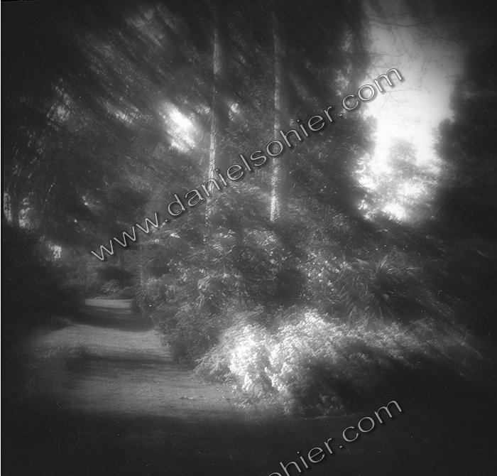 LE PARC - JARDIN FAVIER - Cherbourg en Cotentin - Manche - France 1986 - Hasselblad 6x6 argentique Photographie N° JF 10