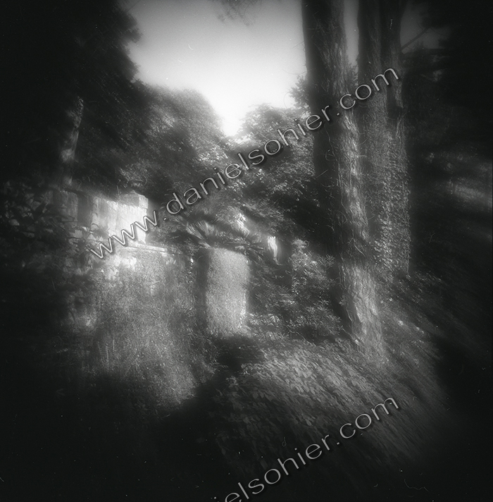 LE PARC - JARDIN FAVIER - Cherbourg en Cotentin - Manche - France 1986 - Hasselblad 6x6 argentique Photographie N° JF 05