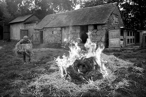 La journée du Cochon