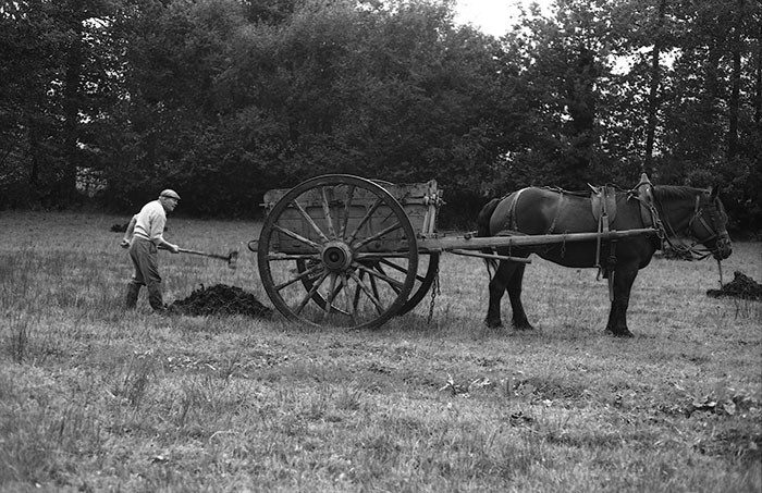 Le fumier dans l'Baniau