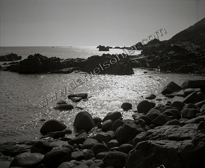 Création Noir&Blanc