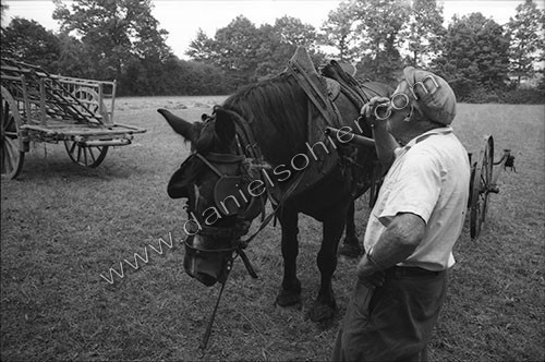 Reportage sur les foins