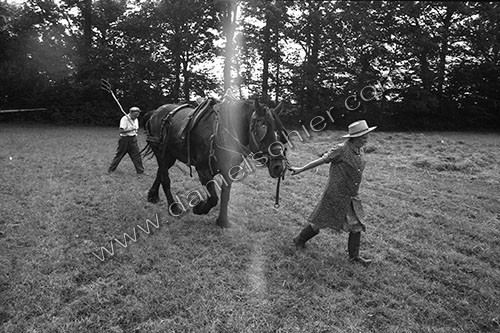 Reportage sur les foins