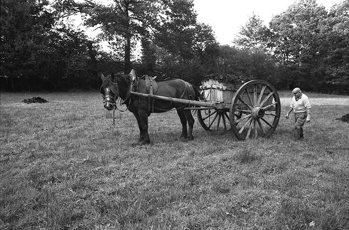 Le fumier dans l'Baniau