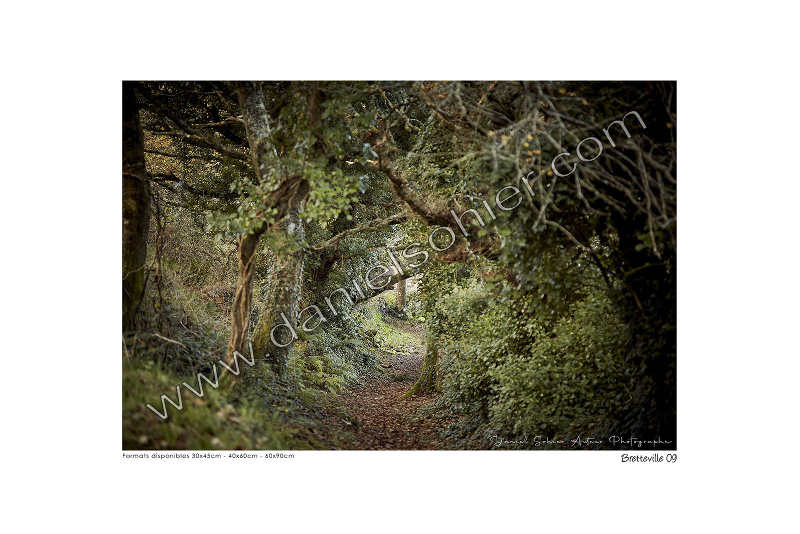 Photoggraphies de paysage