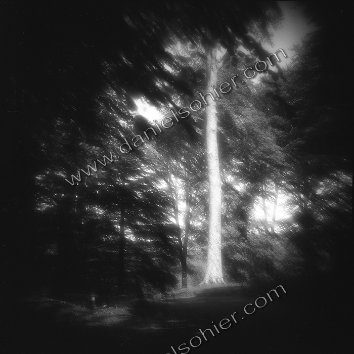 Création Noir&Blanc