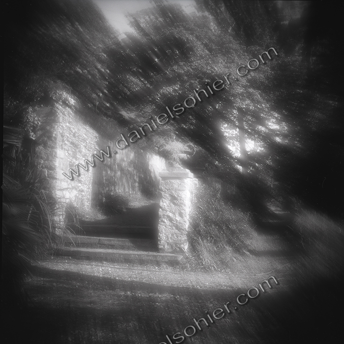 LE PARC - JARDIN FAVIER - Cherbourg en Cotentin - Manche - France 1986 - Hasselblad 6x6 argentique Photographie N° JF 03