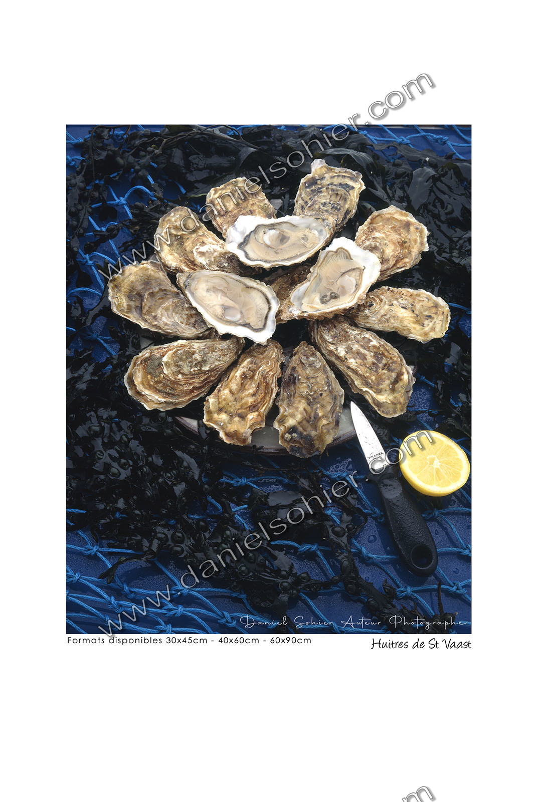 Photoggraphies de paysage