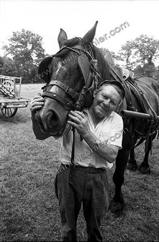 Reportage sur les foins