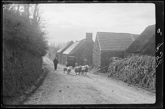 Photographie Gustave Bazire (1893-1941)