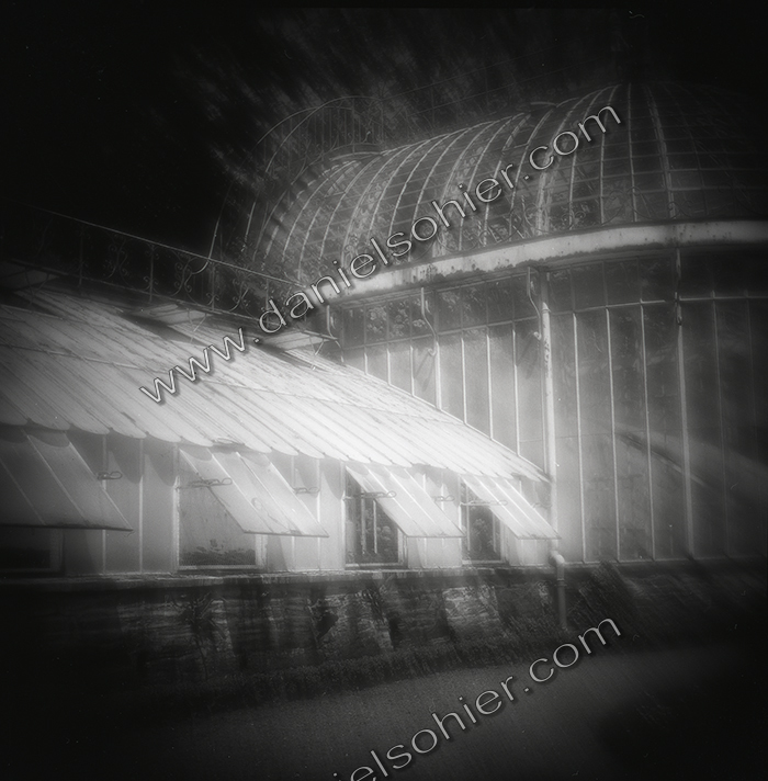 LA SERRE - Jardin des Ravalet - Cherbourg en Cotentin - Manche - France 1993 - Hasselblad 6x6 argentique Photographie N° ATMOBOT 13