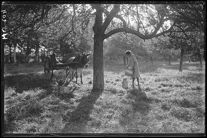 Photographie Gustave Bazire (1893-1941)