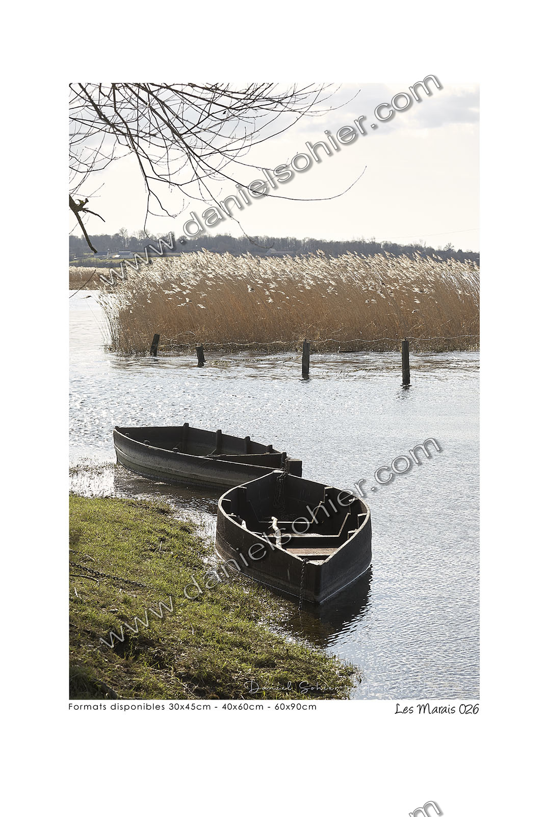 Photoggraphies de paysage