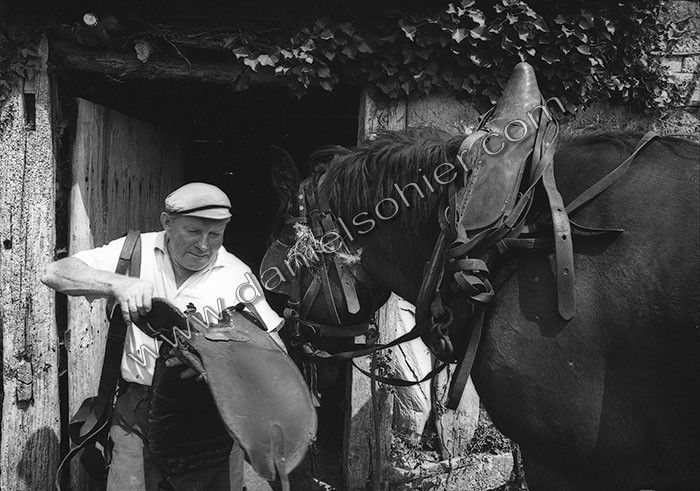 Le fumier dans l'Baniau