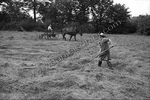 Reportage sur les foins