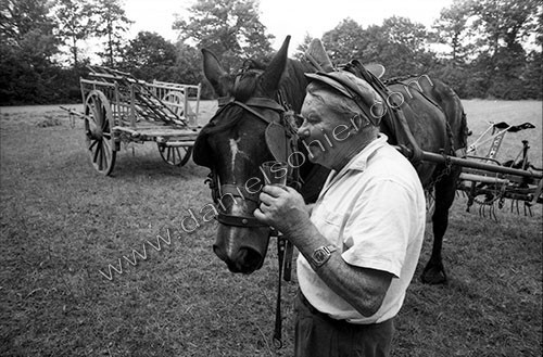 Reportage sur les foins