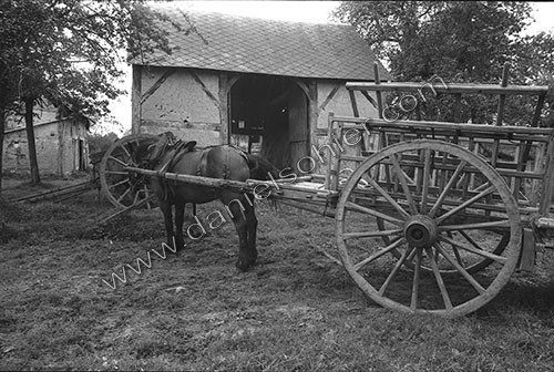 Reportage sur les foins