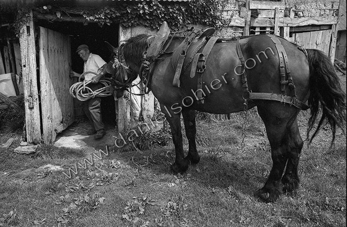 Le fumier dans l'Baniau
