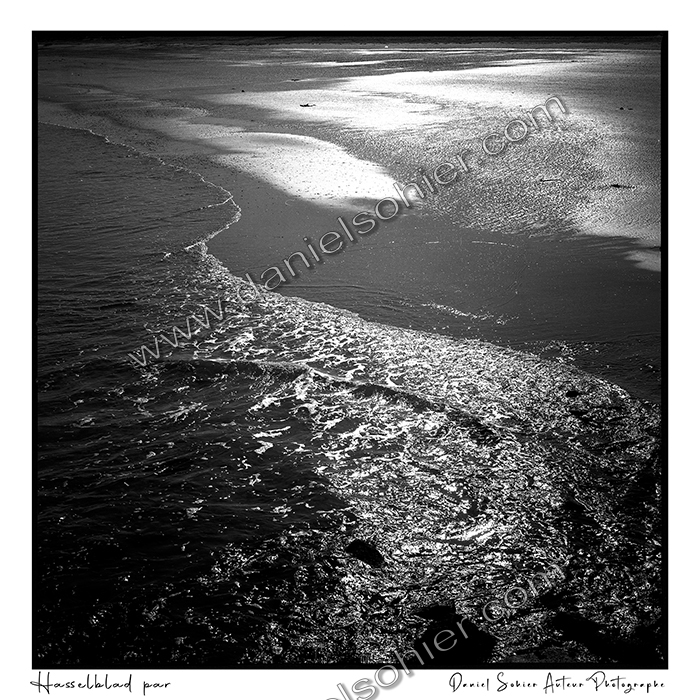 Création photographique noir et blanc argentique