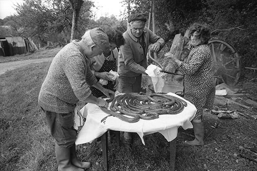 La journée du Cochon